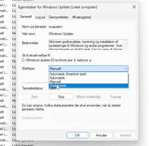 Trin 6: Skærmbillede fra guide